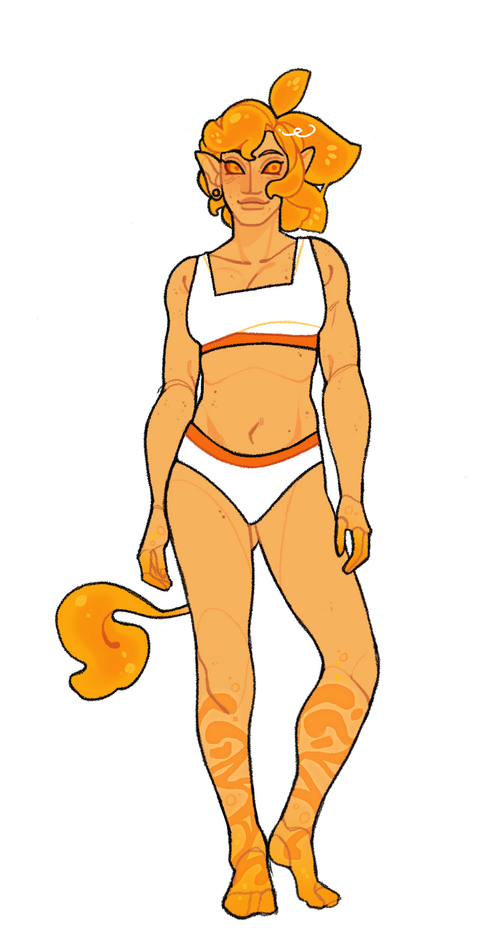 A drawing of Orange Cookie.