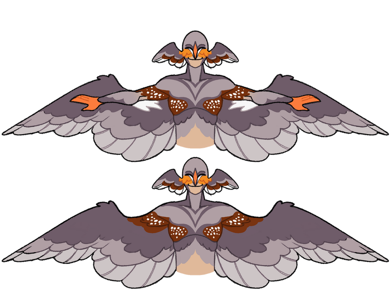 Wings Eyes share the same colored scleras, but have lighter colored pupils. Large concentrations of caffeine in their dough result in eyes having a cat-eyed slit. They don't require much sleep either.