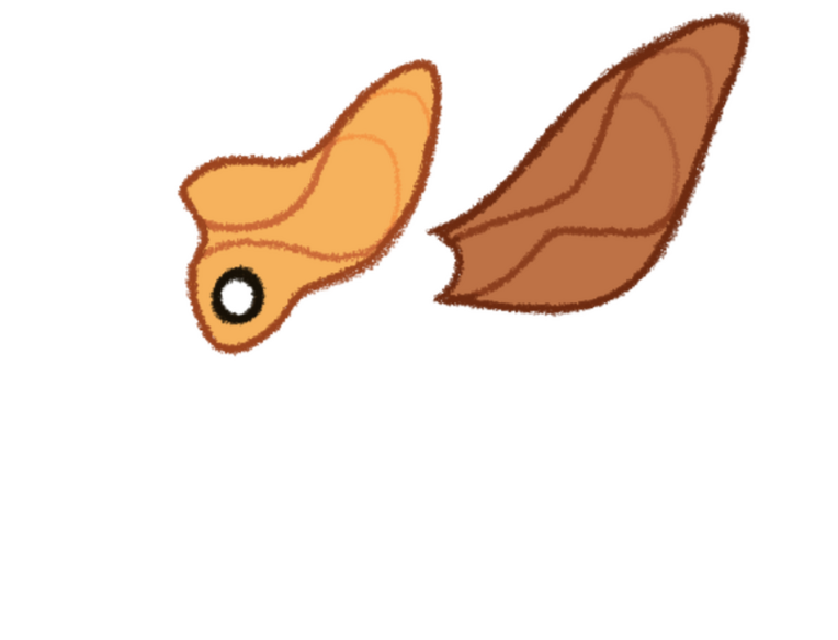 Ears Ears are significantly smaller but share the same general shape.