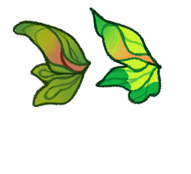 Ears Ears are significantly smaller but share the same general shape.