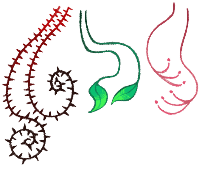 Love the sun and rain, prolonged sun exposure causes them to become sun charged and have enhanced abilities. Often stand in the rain to just enjoy it.