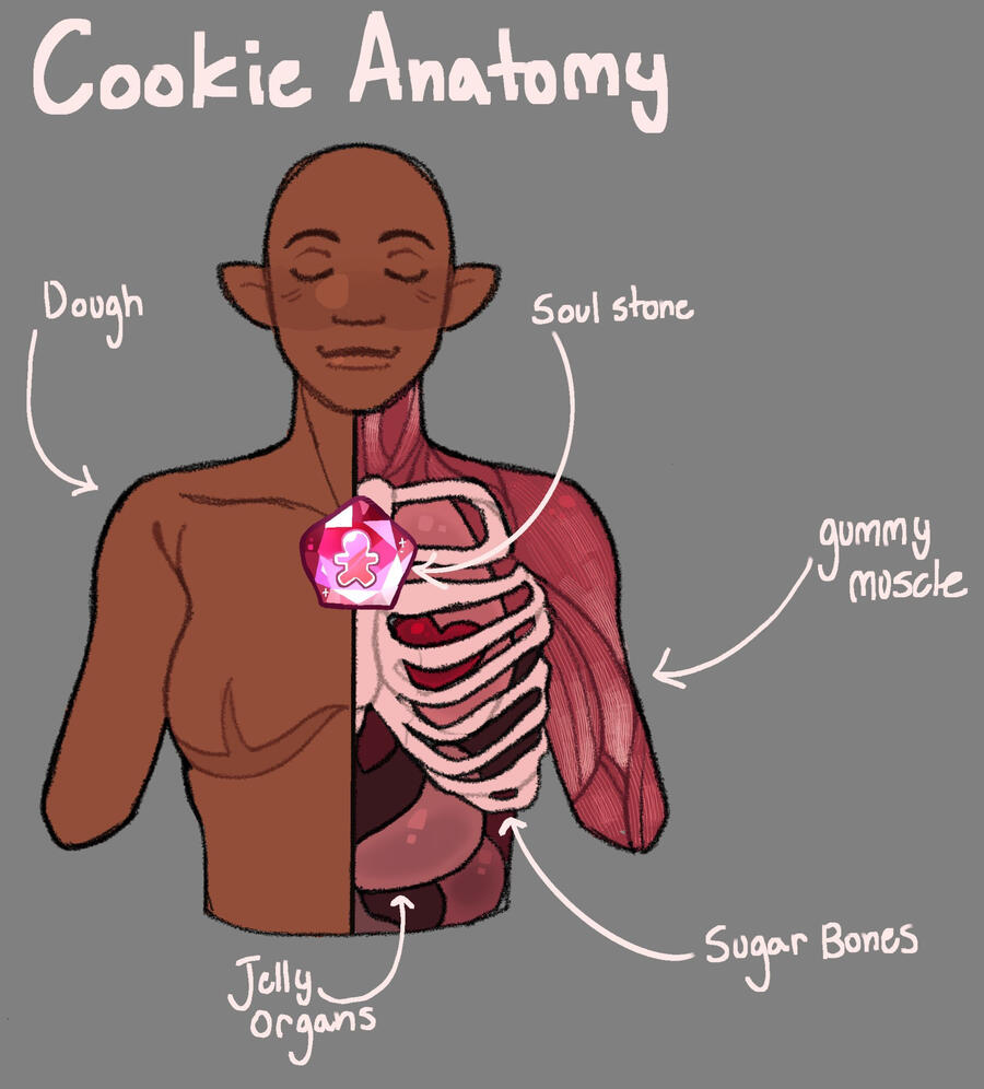 Cookie anatomy. The dough (skin) of the cookie is not present on the right half of the body, revealing gummy muscles, sugar bones, and jelly organs. A soul stone is placed in the center of the chest.